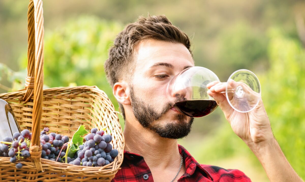 Young man tasting red wine at vineyard farmhouse